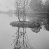 island upper lake 1908